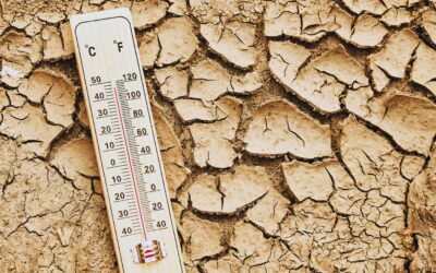 Expanded insurance could help manage climate risks to dairies